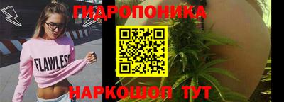 стаф Гулькевичи