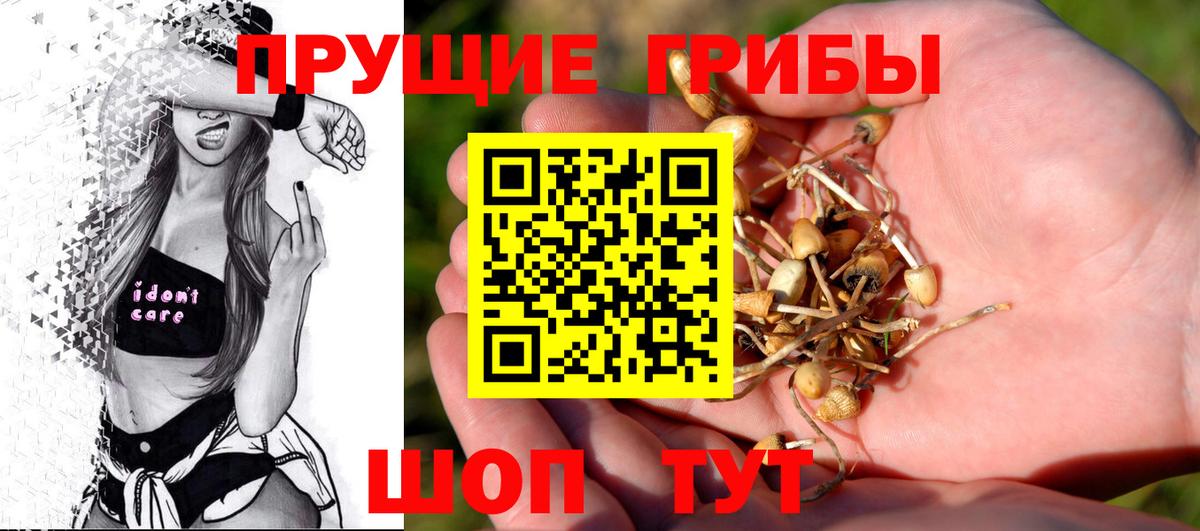 Псилоцибиновые грибы Psilocybe Реутов