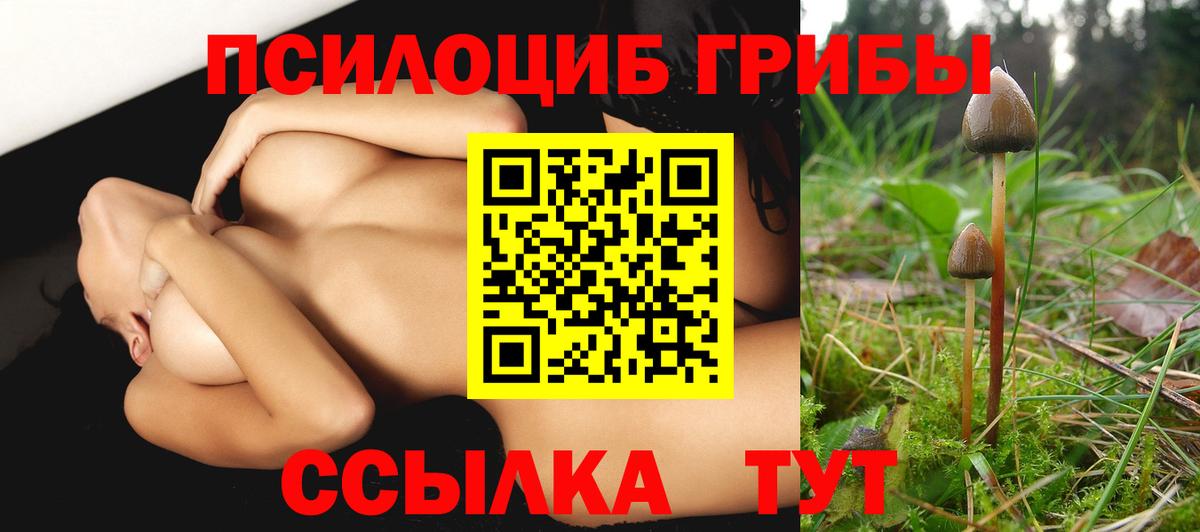 Реутов  Галлюциногенные грибы мицелий  Вход с VPN 